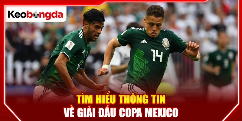 Ảnh hưởng của giải VĐQG Mexico tới bóng đá khu vực