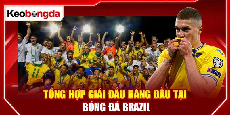 Tổng hợp giải đấu hàng đầu tại bóng đá Brazil